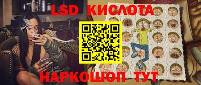 СК Дубна