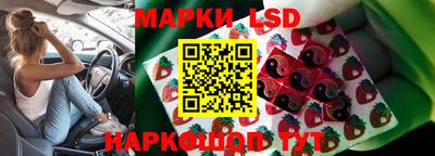 мдпв Донецк