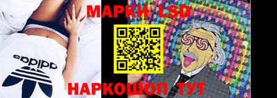 СК Дубна