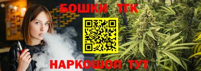 СК Дубна